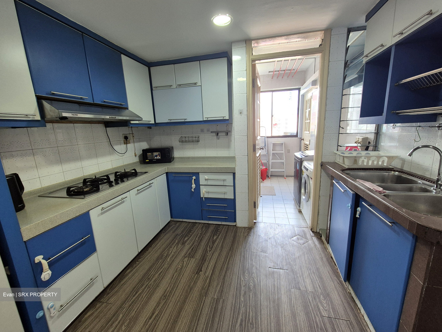Emerald Park (D3), Condominium #466341641